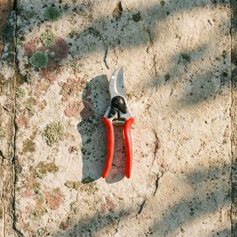 Felco Pruning Secateurs