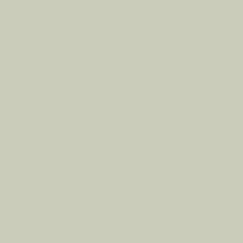 Farrow & Ball Eddy No.301