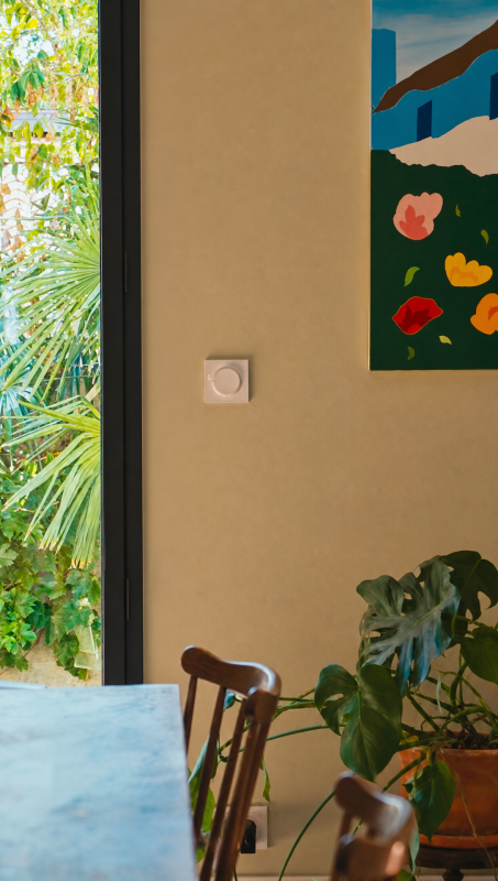 The open glazed door from the dining area into the green garden, with houseplants and a colourful flower print on the wall