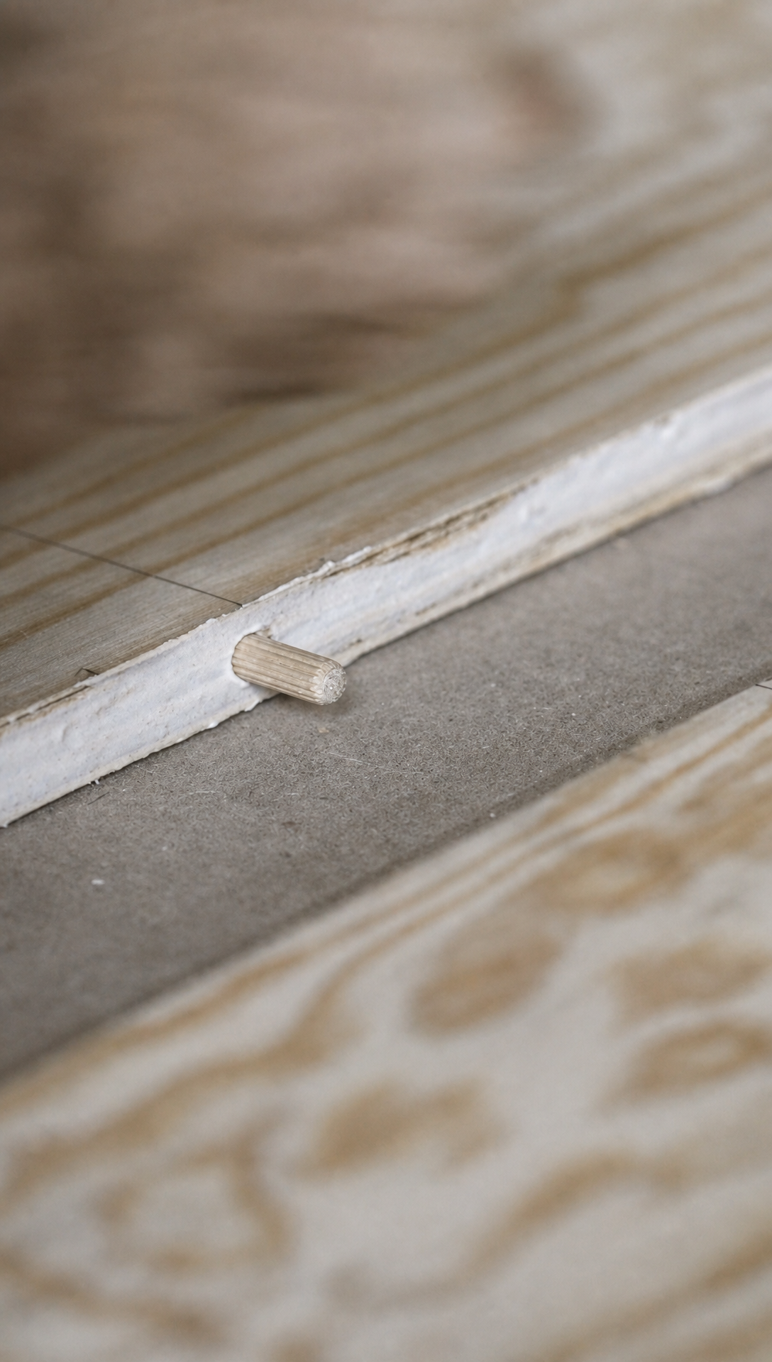 Close up of a wooden dowel and glue squeeze out joining two plywood panels