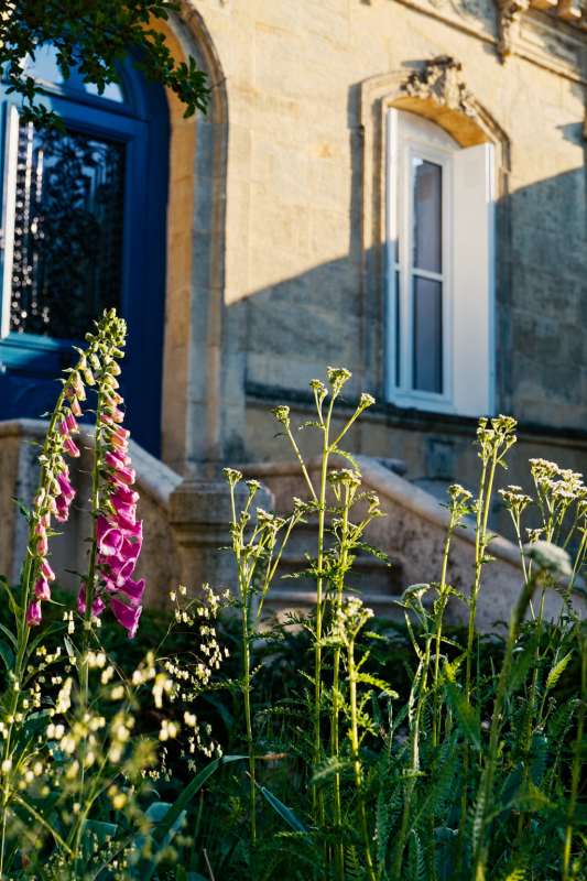 Stone facade of our French townhouse with the front garden in full summer growth