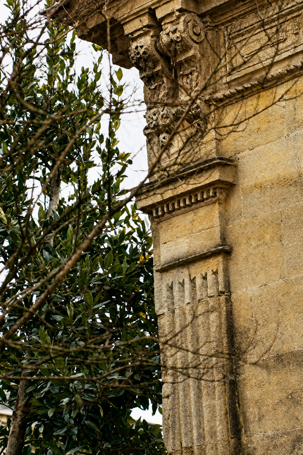 Bare winter branches in front of the carved limestone corner of a neighbouring Bordeaux building