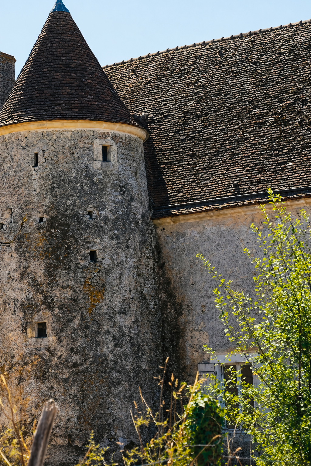 A stone manor house with a round tower and terracotta roofs in Le Perche, framed by trees