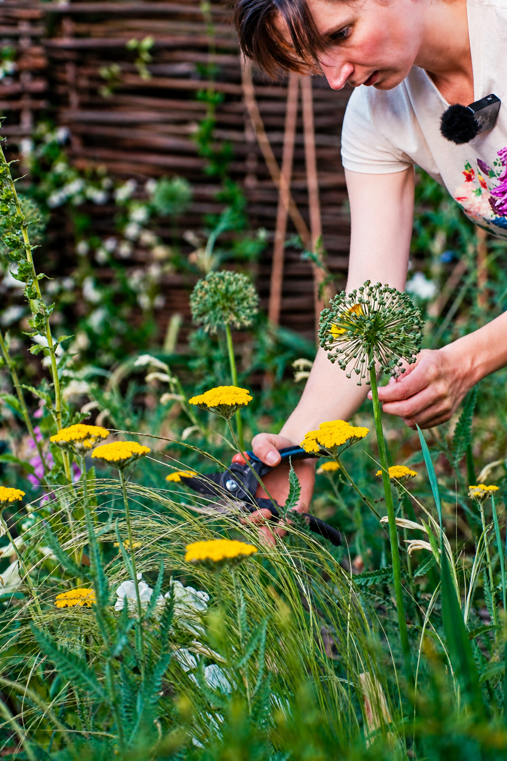 Romy cutting stems in a flower bed full of early summer blooms