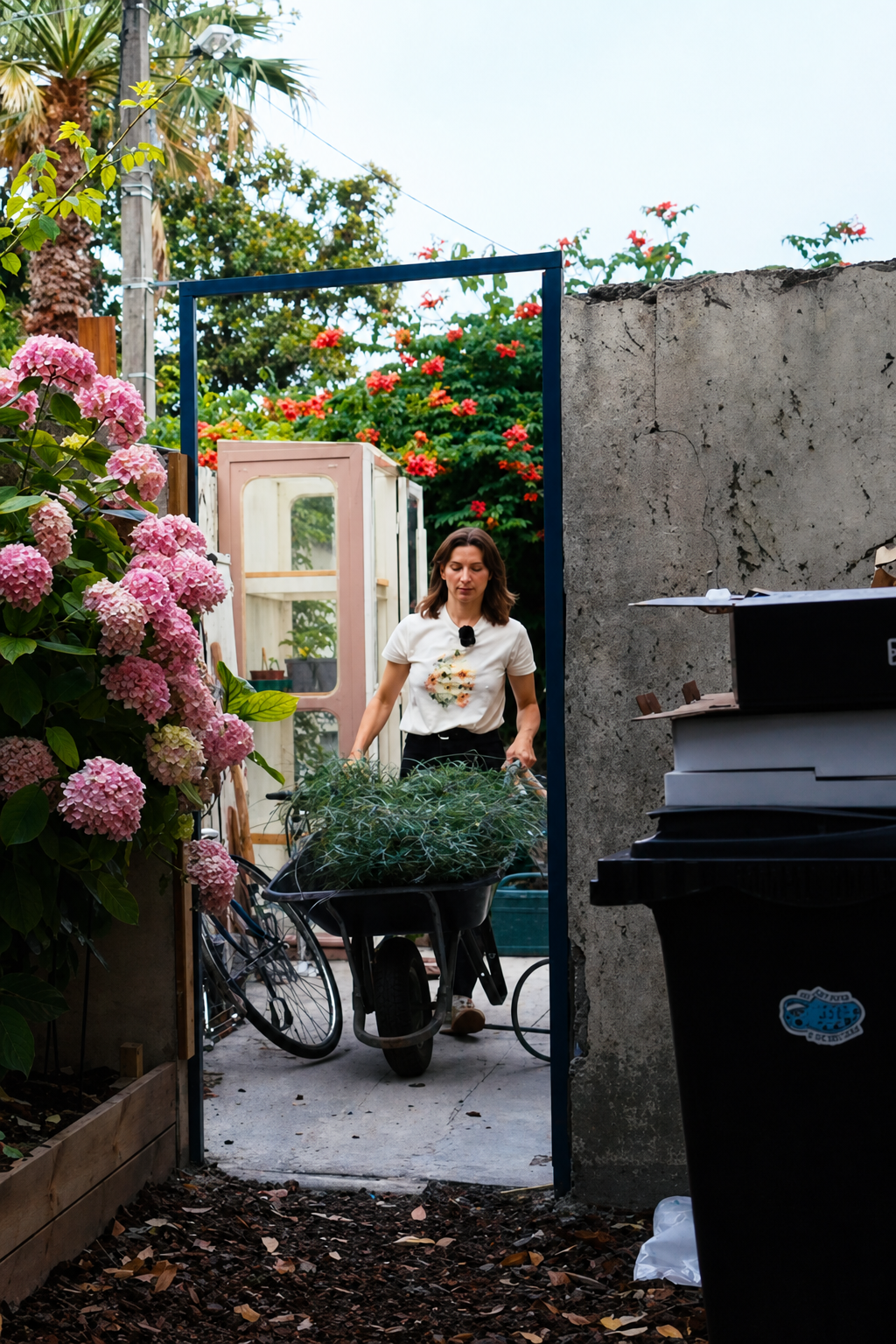 Garden path beside a woven willow fence with pink blooms and Romy pushing a wheelbarrow near the gate